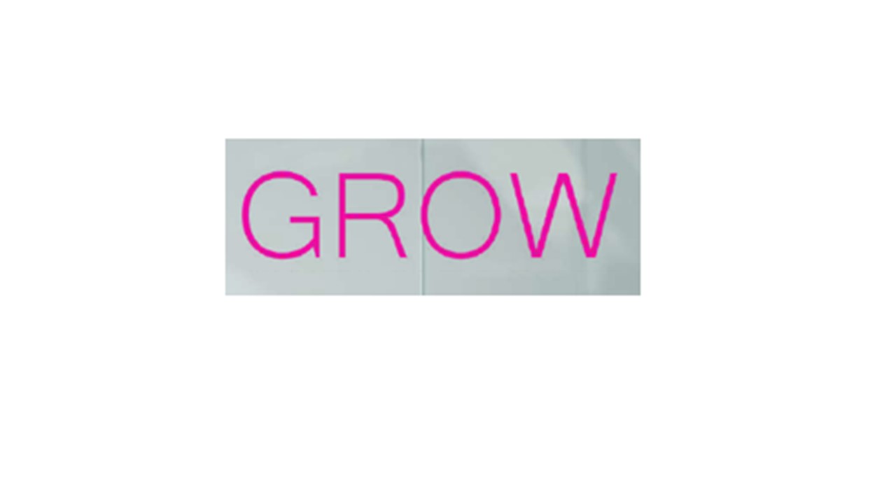 E- GROW CONSULTOR TÉCNICO EN FELICIDAD LABORAL